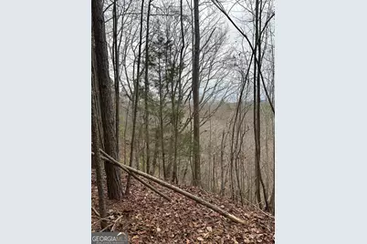 306 Oberlin Court, Ranger, GA 30734 - Photo 6