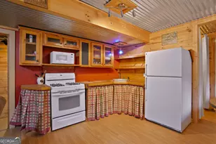 143 Kaely Dr, Mineral Bluff, GA 30559 - Photo 54