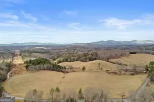 143 Kaely Dr, Mineral Bluff, GA 30559 - Photo 64