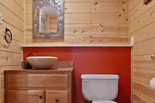 143 Kaely Dr, Mineral Bluff, GA 30559 - Photo 58