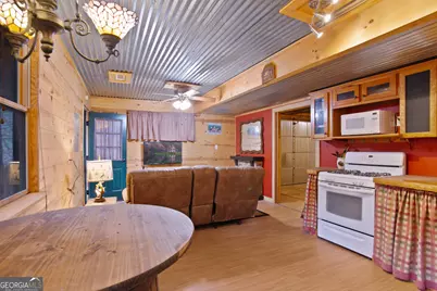 143 Kaely Drive, Mineral Bluff, GA 30559 - Photo 60