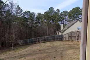 307 Cinnamon Bark Pass, Locust Grove, GA 30248 - Photo 6