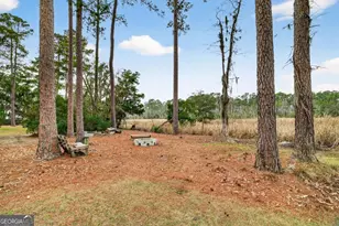 314 Mill Run Rd, Richmond Hill, GA 31324 - Photo 56