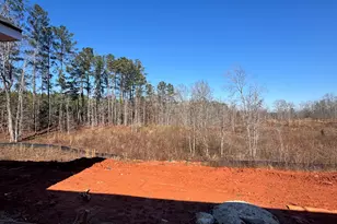 431 Andrews Mill Rd, Greenville, GA 30222 - Photo 6