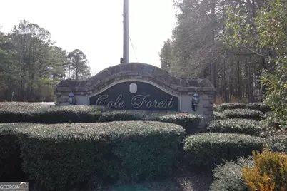 206 Cole Forest Boulevard, Barnesville, GA 30204 - Photo 34