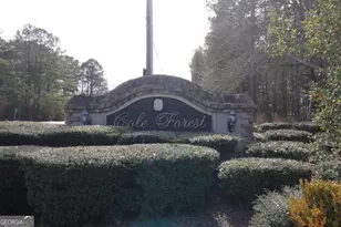 206 Cole Forest Blvd, Barnesville, GA 30204 - Photo 34