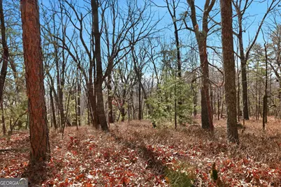 0 Mountain Sweet Drive #LOTS 58 &amp; 59, Clarkesville, GA 30523 - Photo 14