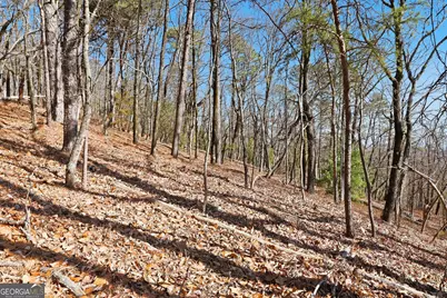 0 Mountain Sweet Drive #LOTS 58 &amp; 59, Clarkesville, GA 30523 - Photo 12