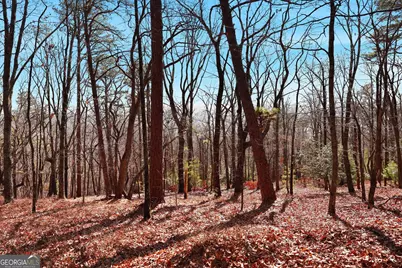 0 Mountain Sweet Drive #LOTS 58 &amp; 59, Clarkesville, GA 30523 - Photo 10