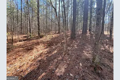 Lot 50 Deyton Drive, Blairsville, GA 30512 - Photo 14
