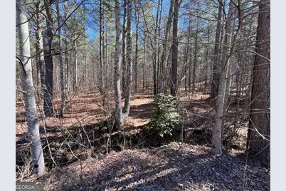 Lot 50 Deyton Drive, Blairsville, GA 30512 - Photo 6