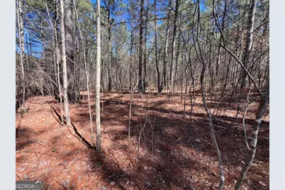 Lot 50 Deyton Drive, Blairsville, GA 30512 - Photo 10