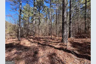 Lot 50 Deyton Drive, Blairsville, GA 30512 - Photo 1