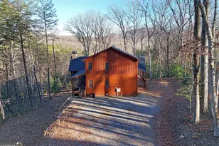 306 Native Trl, Blue Ridge, GA 30513 - Photo 6