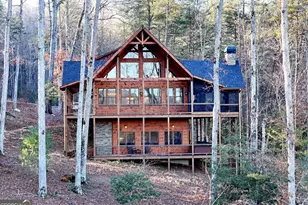 306 Native Trl, Blue Ridge, GA 30513 - Photo 1