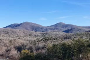 306 Native Trl, Blue Ridge, GA 30513 - Photo 20