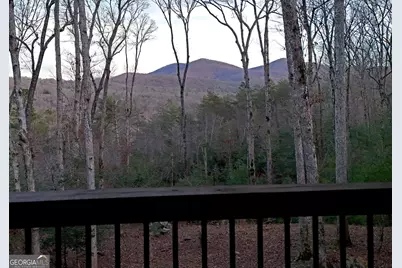 306 Native Trail, Blue Ridge, GA 30513 - Photo 16