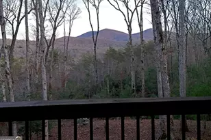 306 Native Trl, Blue Ridge, GA 30513 - Photo 16