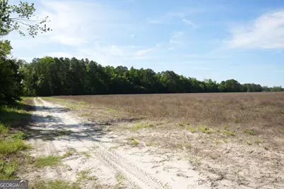 1800 Olive Branch Road, Ellabell, GA 31308 - Photo 16