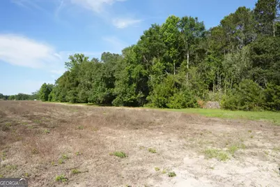 1800 Olive Branch Road, Ellabell, GA 31308 - Photo 20