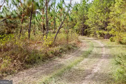 0 Highway 297 #TRACTS 2, 3, 4 &amp; 5, Soperton, GA 30457 - Photo 12