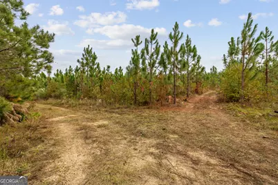 0 Highway 297 #TRACTS 2, 3, 4 &amp; 5, Soperton, GA 30457 - Photo 6