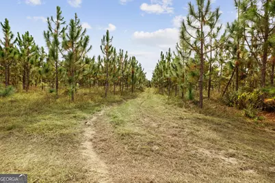 0 Highway 297 #TRACTS 2, 3, 4 &amp; 5, Soperton, GA 30457 - Photo 10