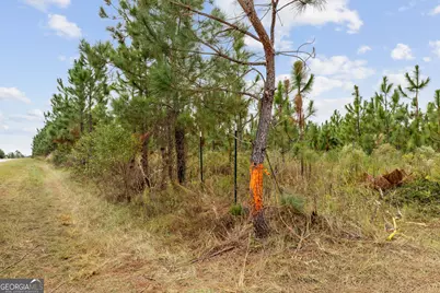 0 Highway 297 #TRACTS 2, 3, 4 &amp; 5, Soperton, GA 30457 - Photo 4