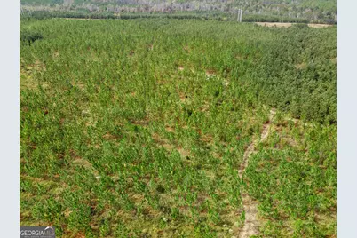 0 Hwy 297 #TRACTS 4 &amp; 5, Soperton, GA 30457 - Photo 12
