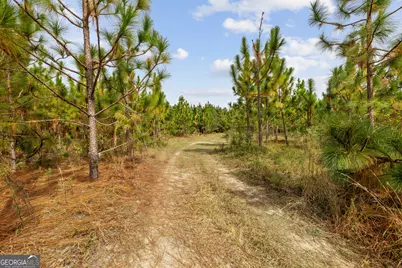 0 Hwy 297 #TRACTS 4 &amp; 5, Soperton, GA 30457 - Photo 16