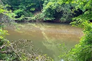 240 Riverview Rd, Jackson, GA 30233 - Photo 64