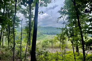 0 White Oak Rd, Summerville, GA 30747 - Photo 1