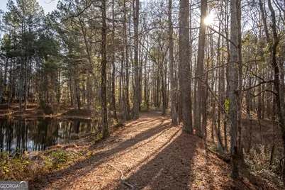 2893 Whitlow Ridge Drive, Bishop, GA 30621 - Photo 48