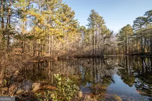 2893 Whitlow Ridge Dr, Bishop, GA 30621 - Photo 50