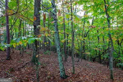 0 Zeppelin Strasse, Helen, GA 30545 - Photo 8