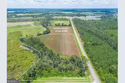 600 Teakwood Road, Alma, GA 31510 - Photo 1