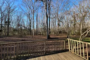 74 Wolfskin Rd, Arnoldsville, GA 30619 - Photo 18