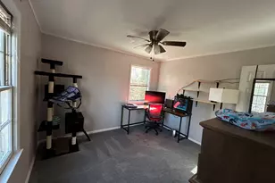 74 Wolfskin Rd, Arnoldsville, GA 30619 - Photo 14