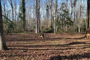 74 Wolfskin Rd, Arnoldsville, GA 30619 - Photo 20