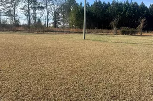 498 Meadows Orchard Rd, Cochran, GA 31014 - Photo 46