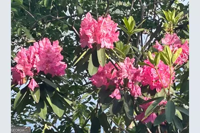 1931 Oliver Bridge Road, Watkinsville, GA 30677 - Photo 20