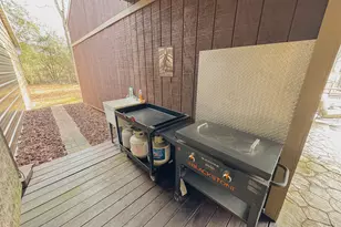 257 Wallie Rd, Molena, GA 30258 - Photo 64