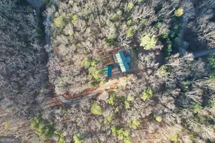 1487 Morton Dr, Ellijay, GA 30540 - Photo 44