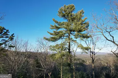 1487 Morton Drive, Ellijay, GA 30540 - Photo 36