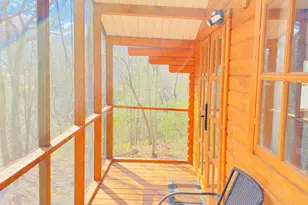 1487 Morton Dr, Ellijay, GA 30540 - Photo 60