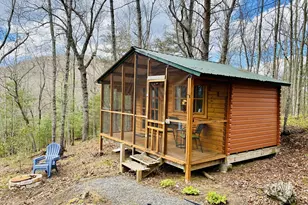 1487 Morton Dr, Ellijay, GA 30540 - Photo 58