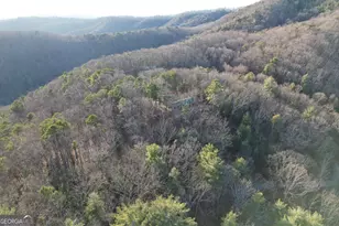 1487 Morton Dr, Ellijay, GA 30540 - Photo 50
