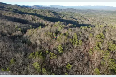 1487 Morton Drive, Ellijay, GA 30540 - Photo 52