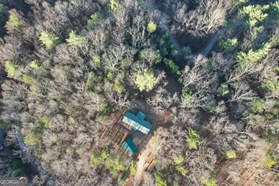 1487 Morton Drive, Ellijay, GA 30540 - Photo 54