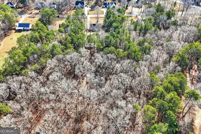 118 Ridgeway Road, Milner, GA 30257 - Photo 48